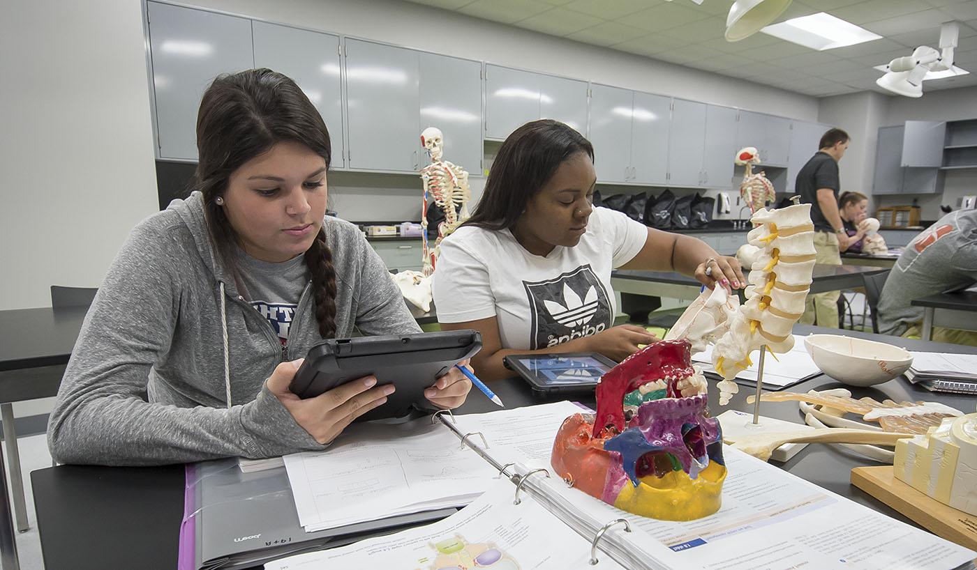 Two students completing a biology lab assignment together